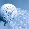 Soft water shower head